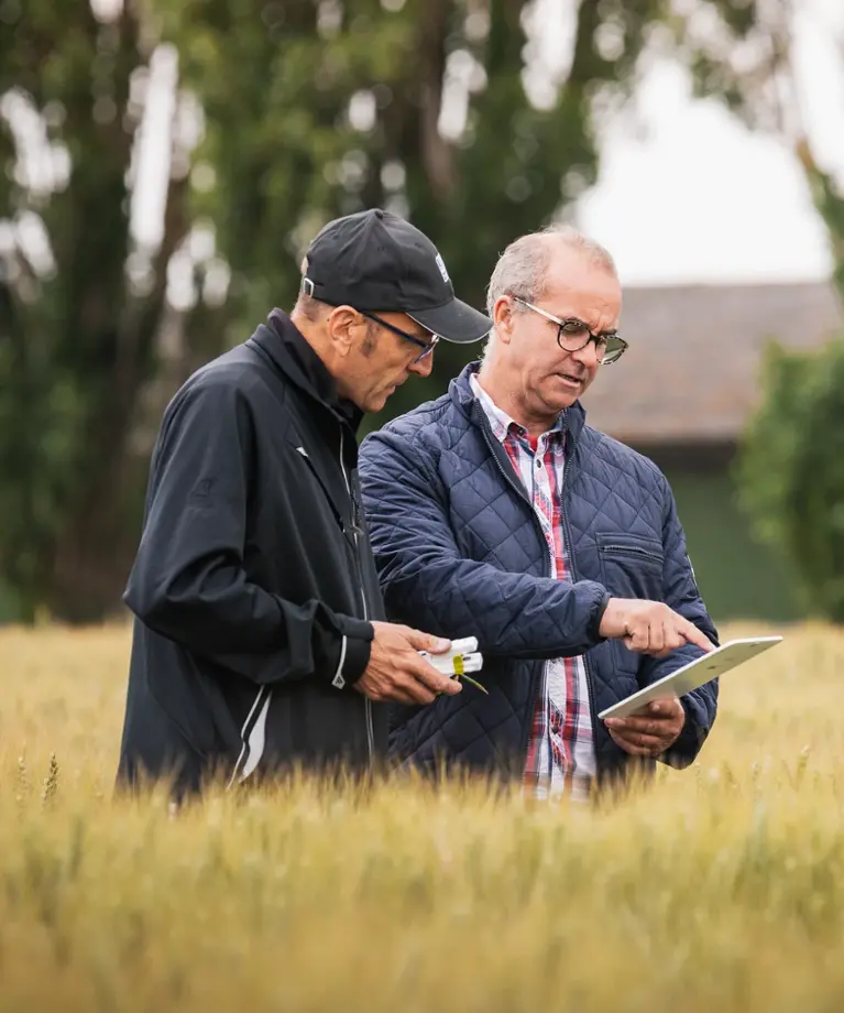 Season for Cereal Crops
