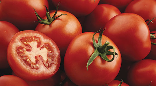 Kako spriječiti pucanje plodova rajčica